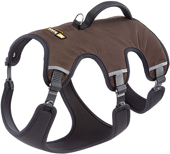 61NJYKlRtjL._AC_SX679_