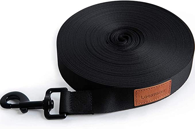 61lwiX4M2EL._AC_SX679_