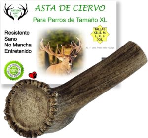 71hJCjuG9JL._AC_SL1500_